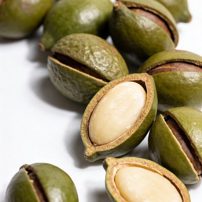 Jojoba oil